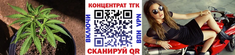 ТГК концентрат  Старица 