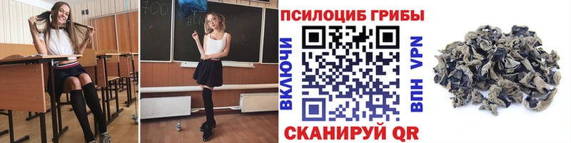 Псилоцибиновые грибы прущие грибы закладки Старица